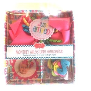 Monthly Milestone headband